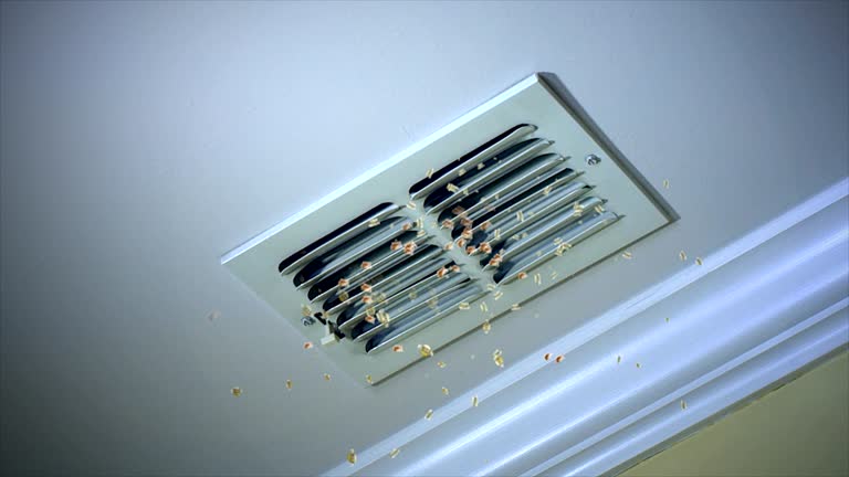 Best Affordable Duct Cleaning Services  in Bakersfield Country Clu, CA